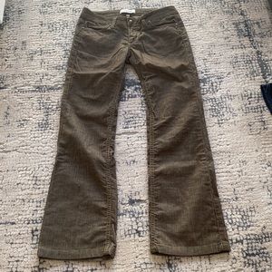 Habitual fine corduroy boot cut in olive green/brown in size 28